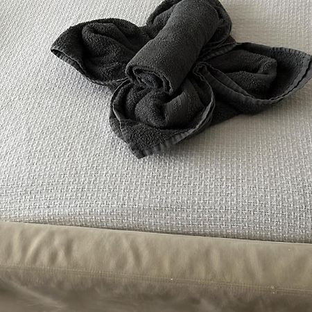 Aquavilla Bed & Breakfast Willebroek Eksteriør bilde