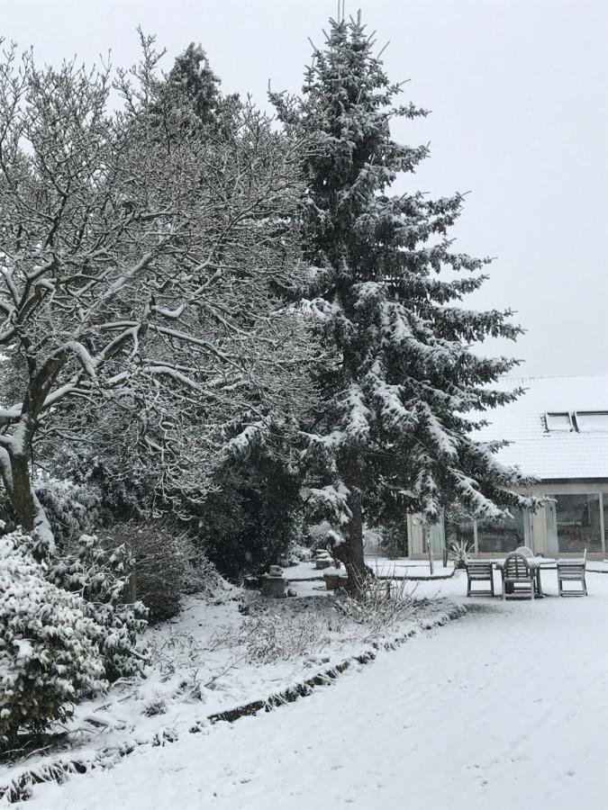 Aquavilla Bed & Breakfast Willebroek Eksteriør bilde