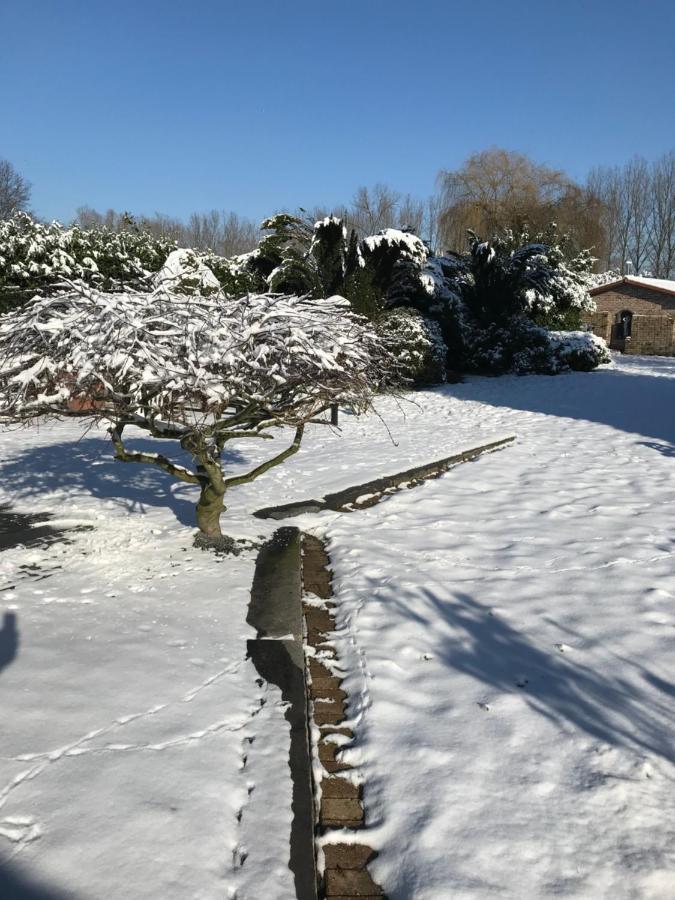 Aquavilla Bed & Breakfast Willebroek Eksteriør bilde